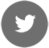 Twitter button gray